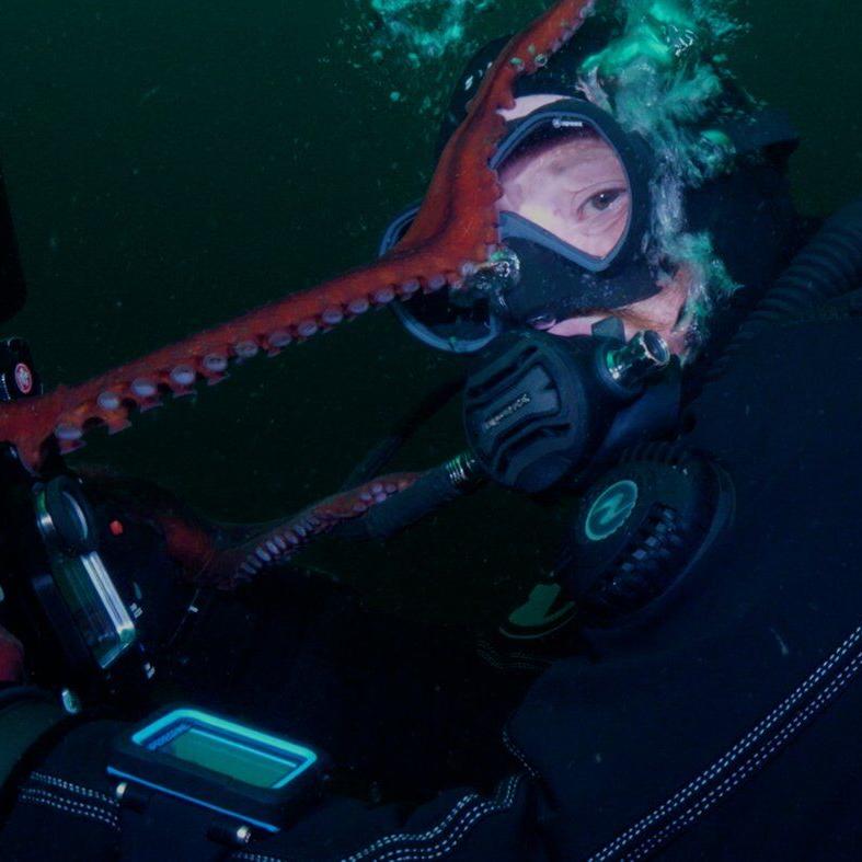 Giant Pacific octopus shoots video of itself after claiming camera from B.C. divers